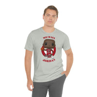 Michael Jordan Chicago Bulls, Soft Cotton Bella and Canvas Short Sleeve Tee shirt